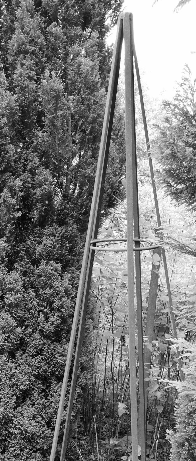 ¡Qué mala es la envidia! 